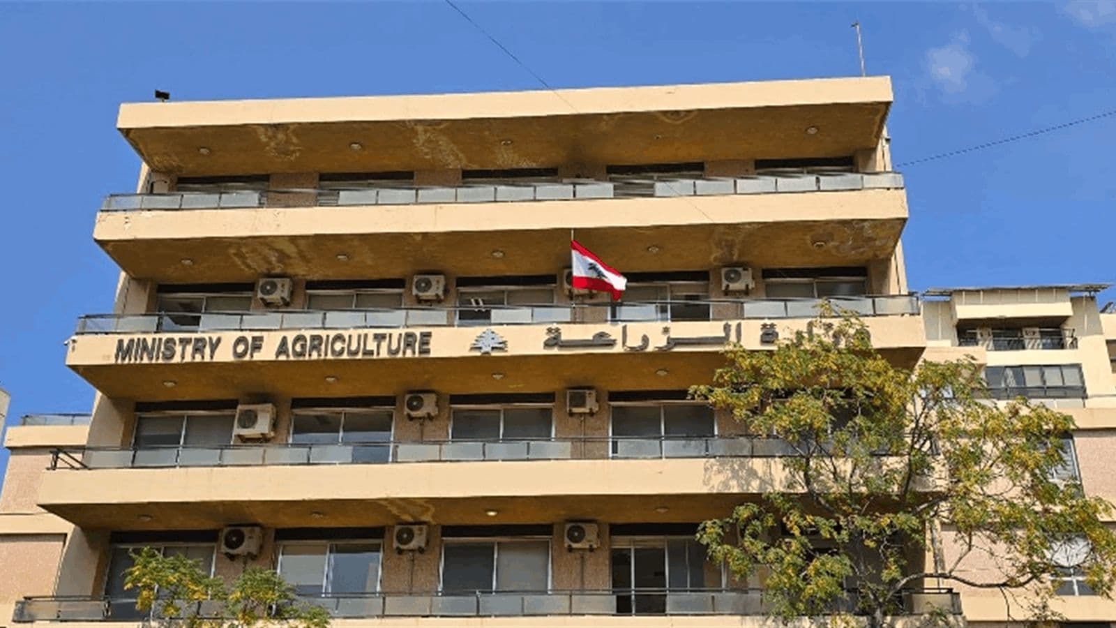 وزارة الزراعة تُشكّل لجنة طوارئ بعد تسجيل إصابات بالحمّى القلاعية في عدد من المزارع