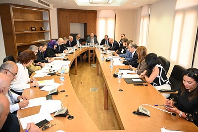 لجنة الصحة العامة والعمل والشؤون الاجتماعية في لبنان 