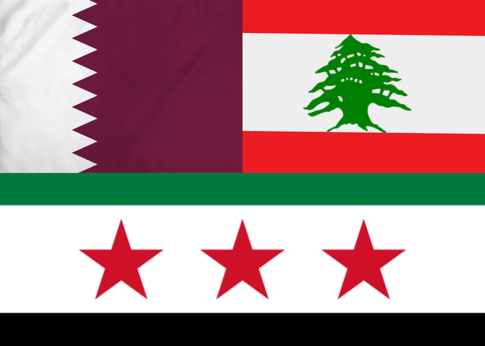 سلام وأمير قطر يناقشان دعم لبنان