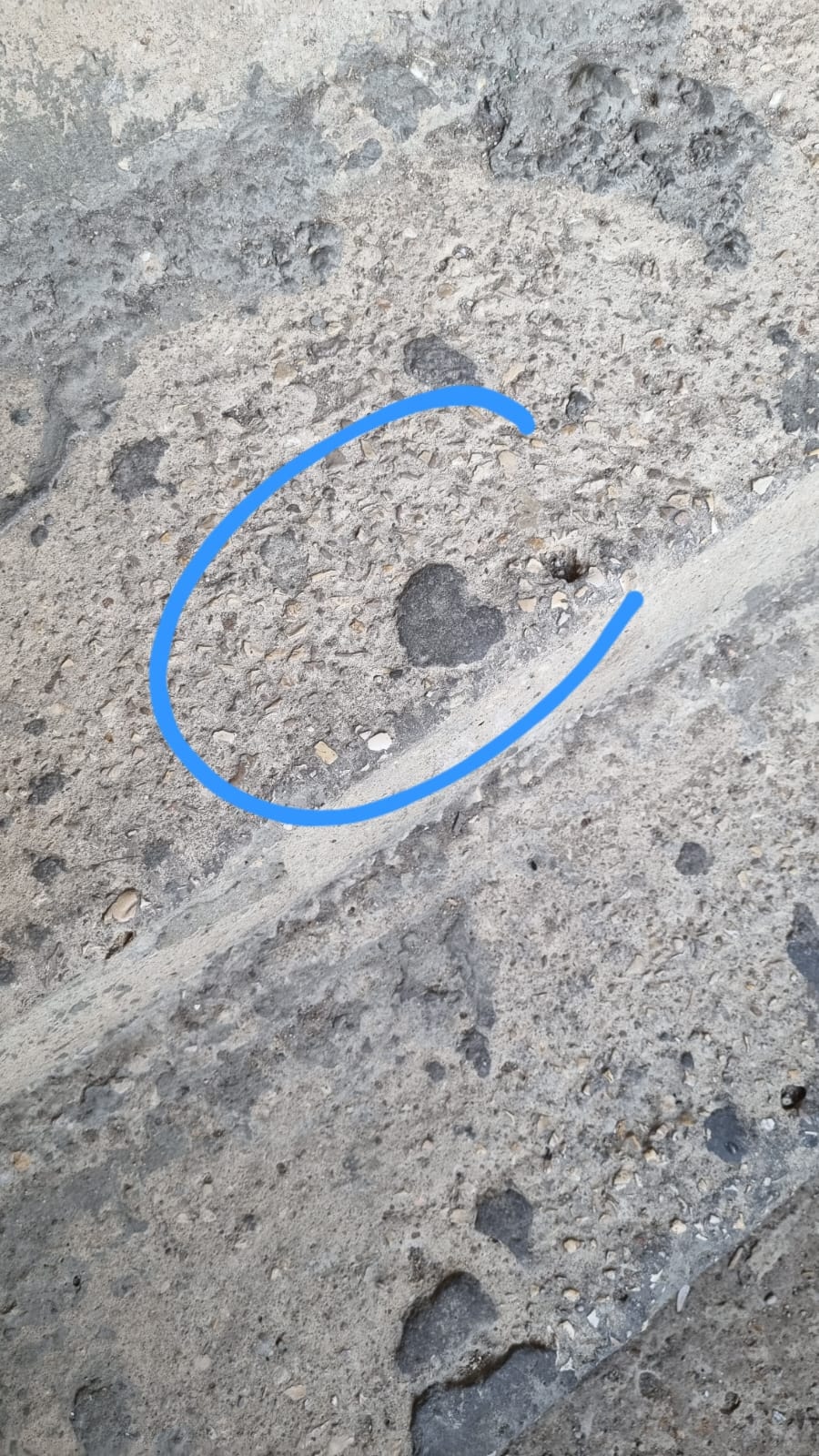 قلب من درج - المحرر الأدبي