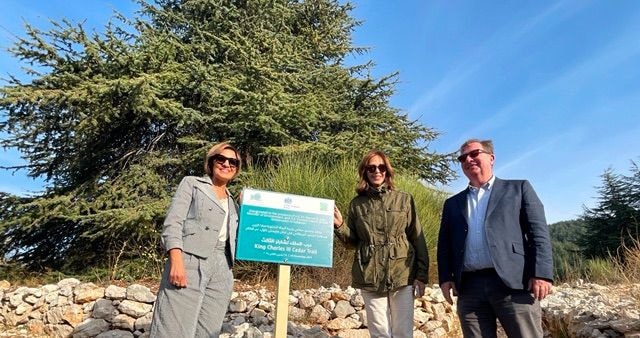 WhatsApp Image 2025-11-29 at 7.02.23 PM