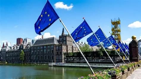 قطاع السيارات الهولندي في مواجهة أزمة الإمدادات وسط فراغ حكومي