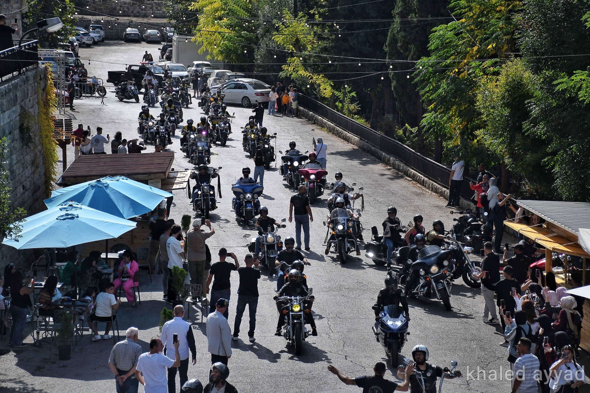 575099147_1425434759582986_6727162962803812352_n