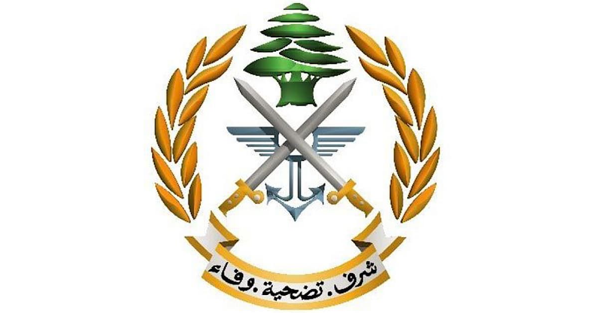 الجيش يوقف مطلوباً في الشراونة بجرائم مخدرات وسرقة سيارات