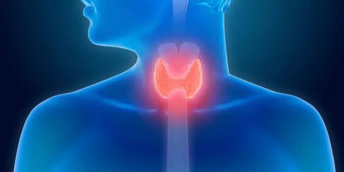 photo_2025-10-14_21-56-00