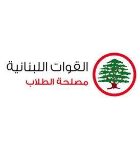 photo_2025-11-07_21-34-37