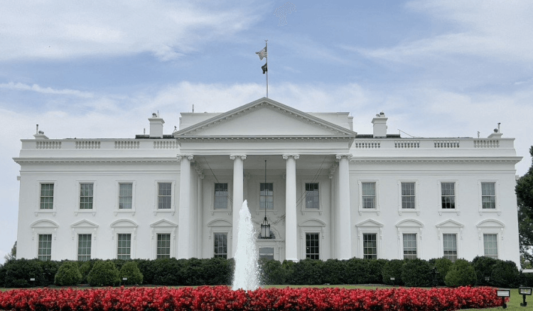 267bd7af4db928c8ac214b11e3afd7b6