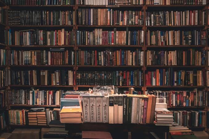 ضعف المكتبة العربية في مجال الروايات الخيالية أزمة حقيقية