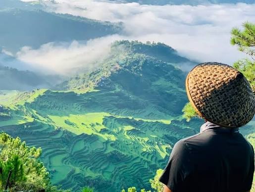 ماليغكونغ، بونتوك، مقاطعة الجبل، الفلبين - Unsplash