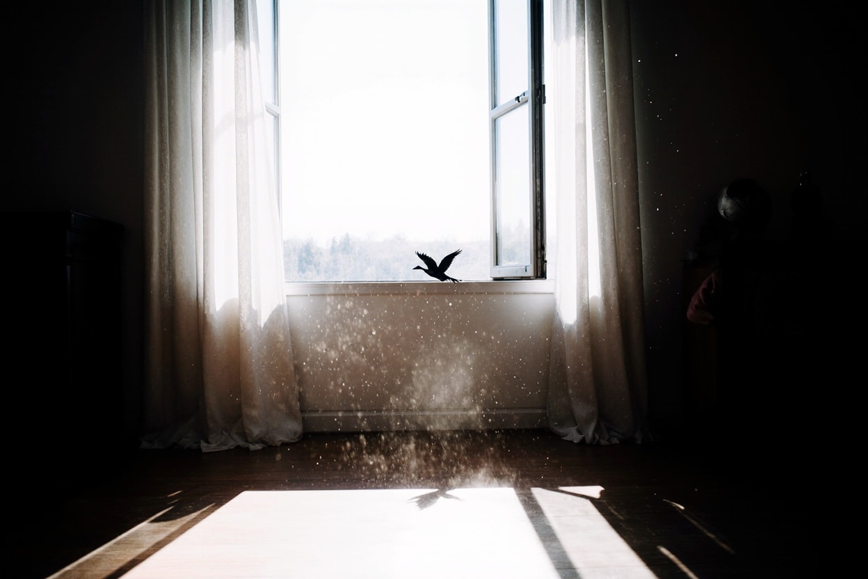 عصفور في غرفة ai